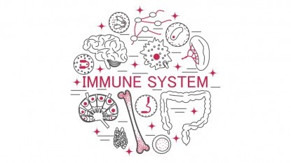 Nueve cosas que debilitan el sistema inmunitario